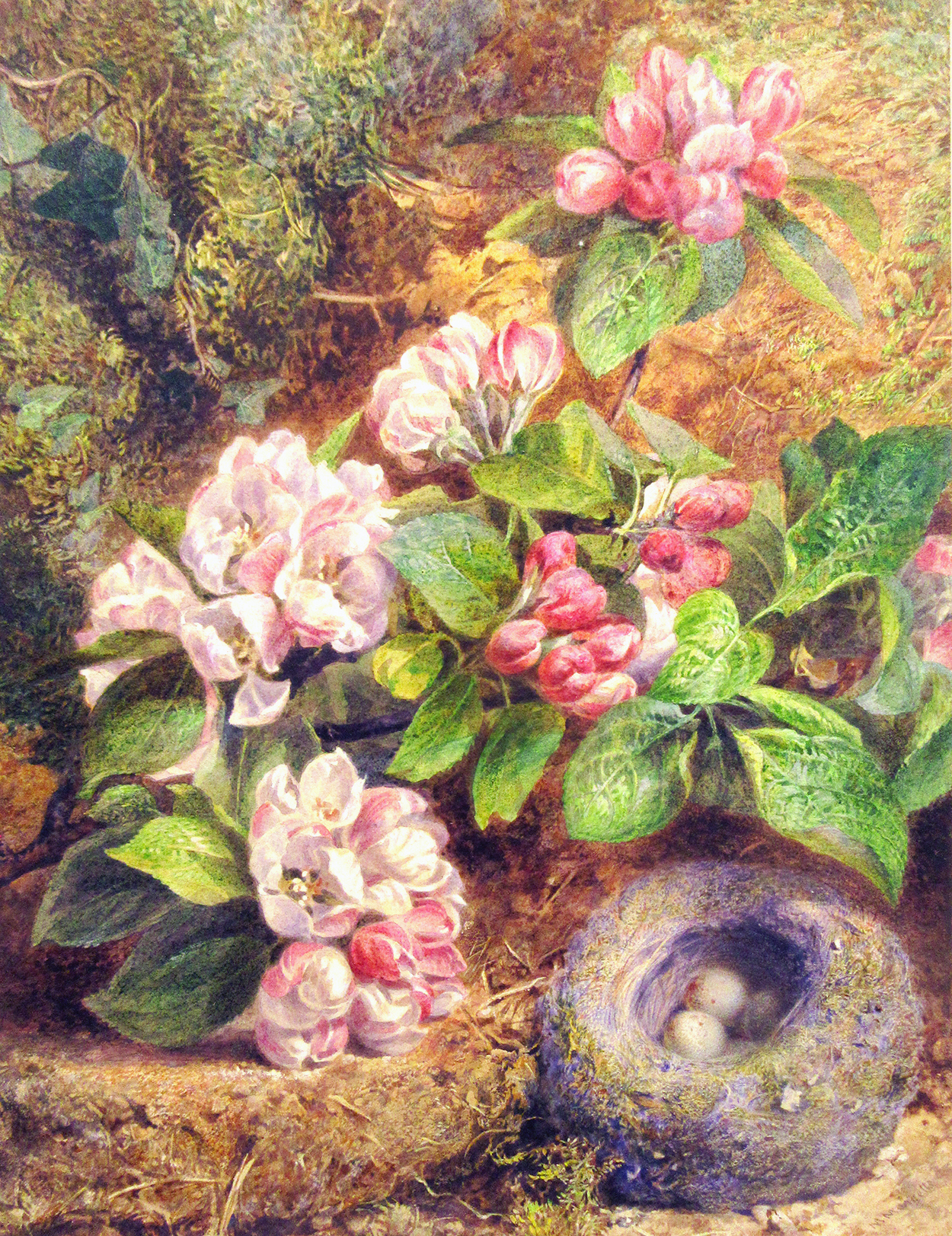 Mary Margetts Flowers and Nest
