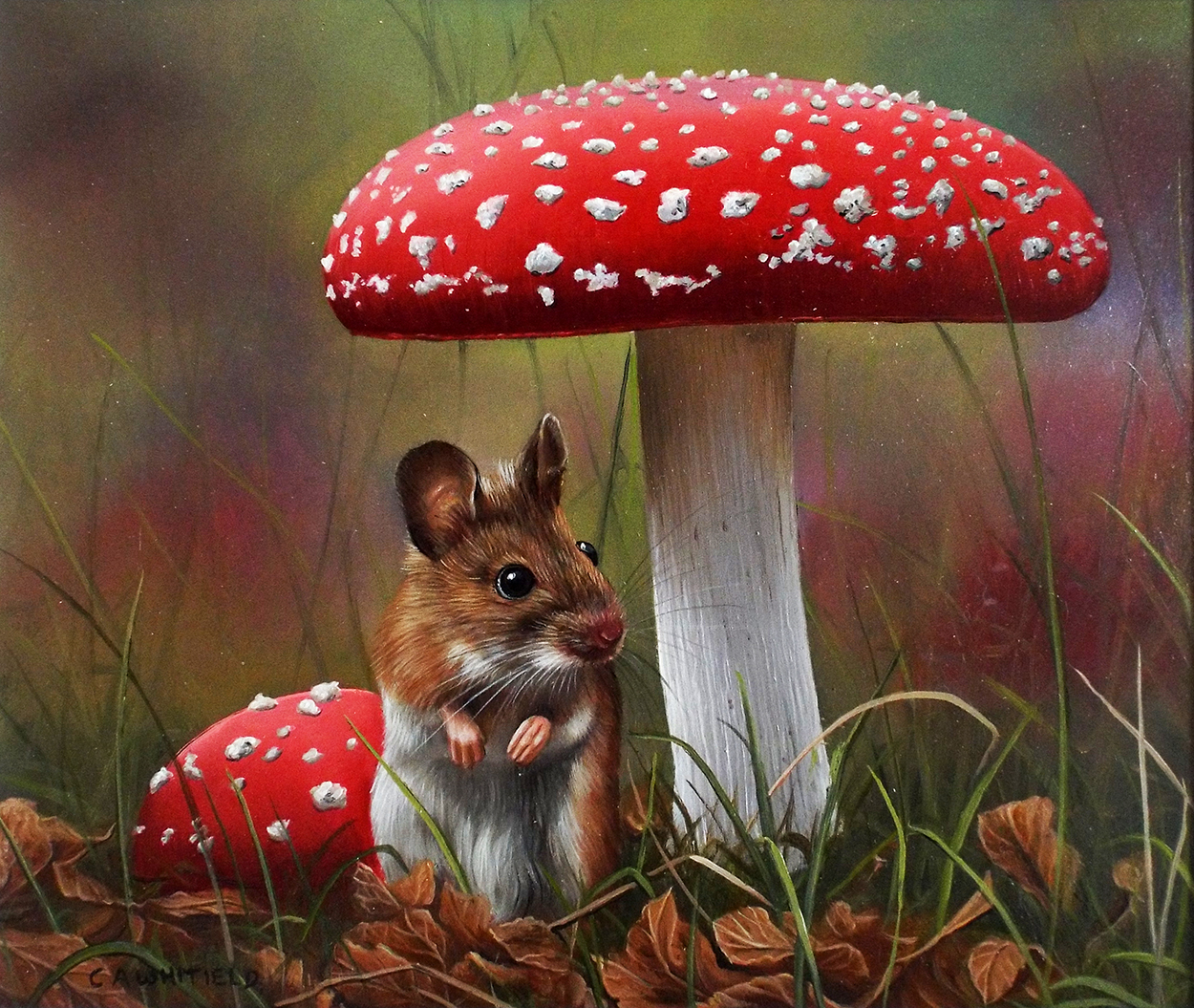 Field Mouse Amongst Wild Mushrooms – Baron Fine Art