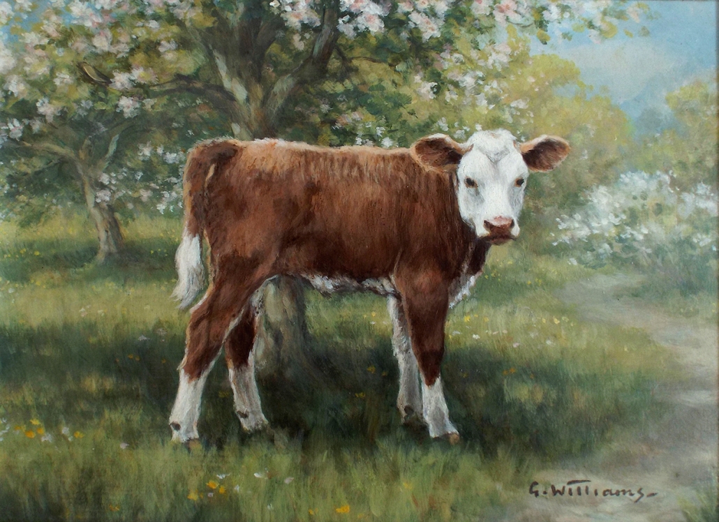 Calf in Spring – Baron Fine Art
