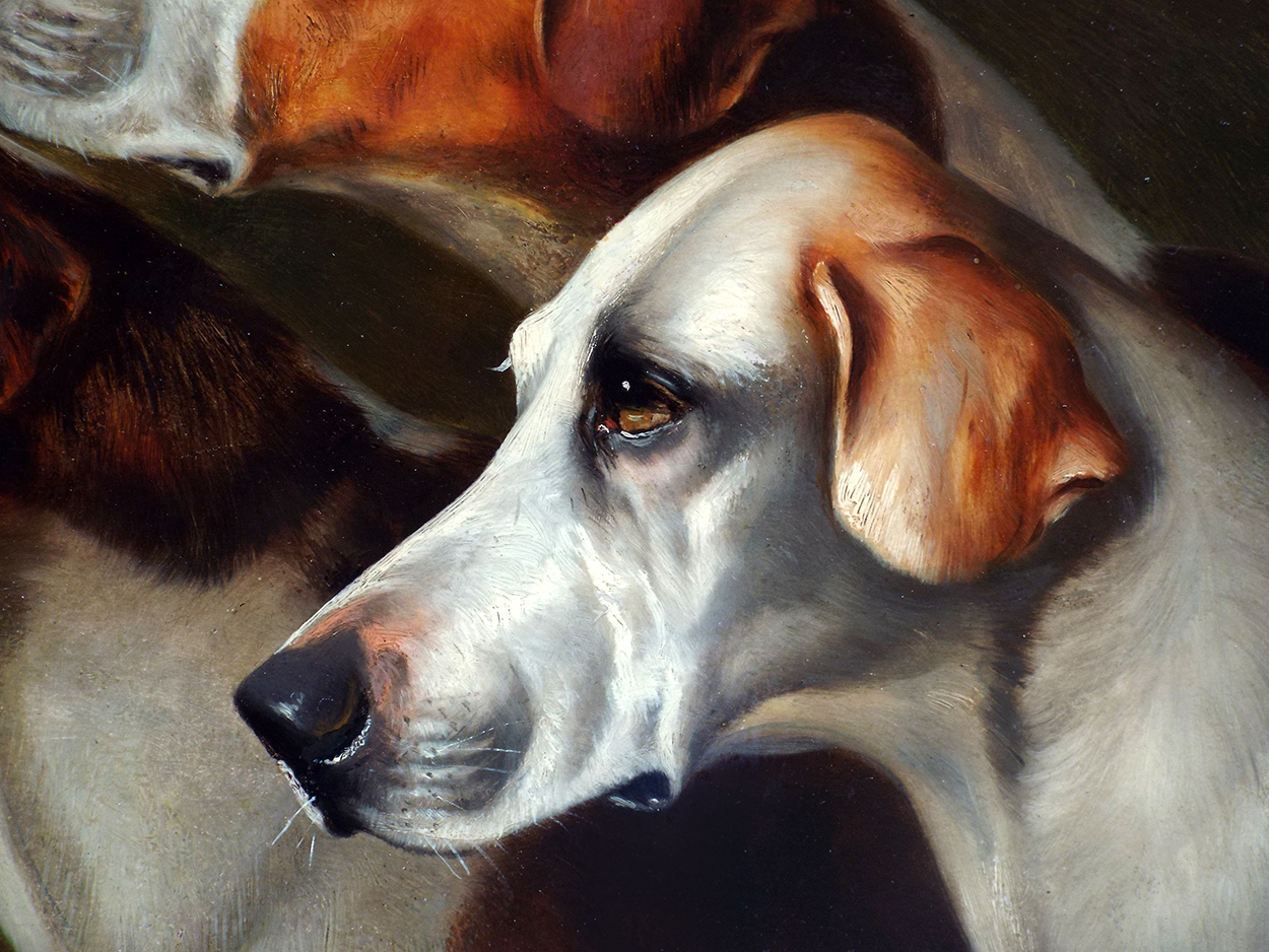 John Arnold Wheeler Foxhounds close up