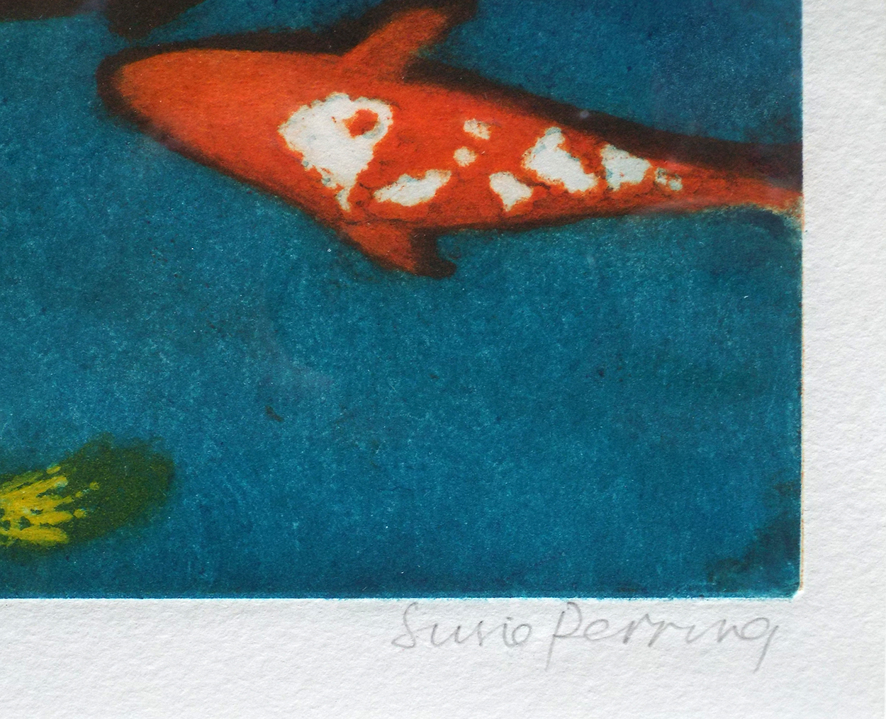 Susie Perring In the Swim signed