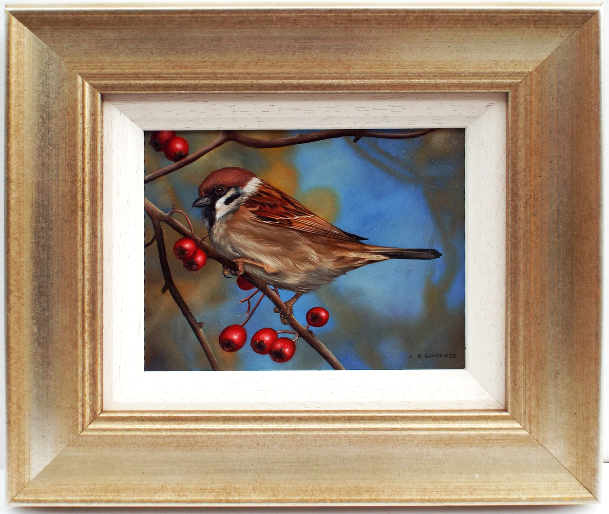 Carl Whitfield Finch- Framed