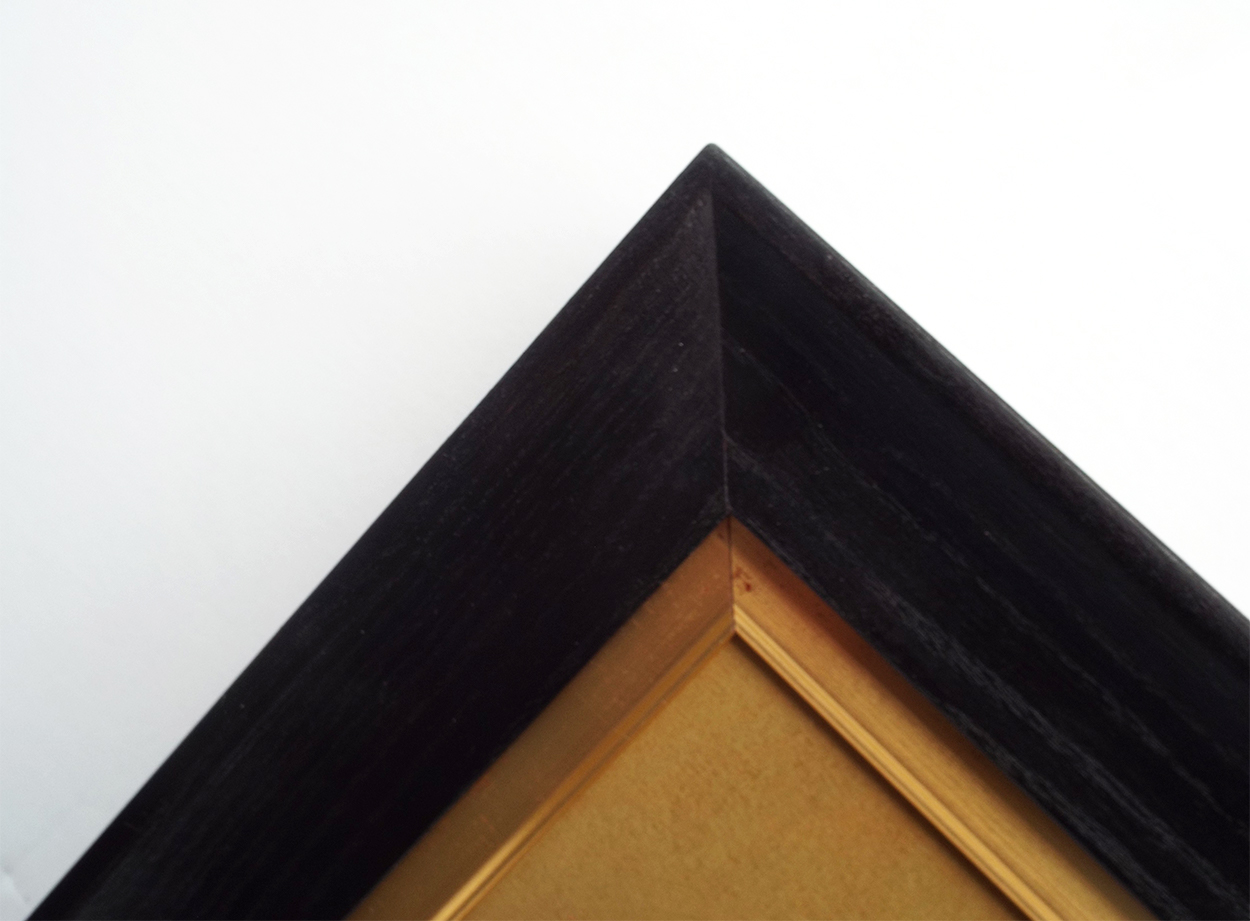 Tim Gustard The Colour of Onions- Frame Details