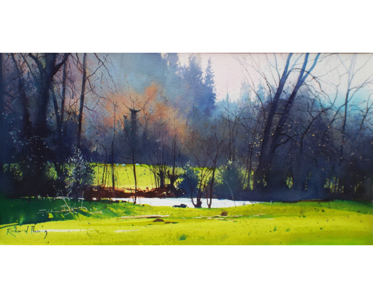 Richard Thorn Light In The Meadow- Product Image