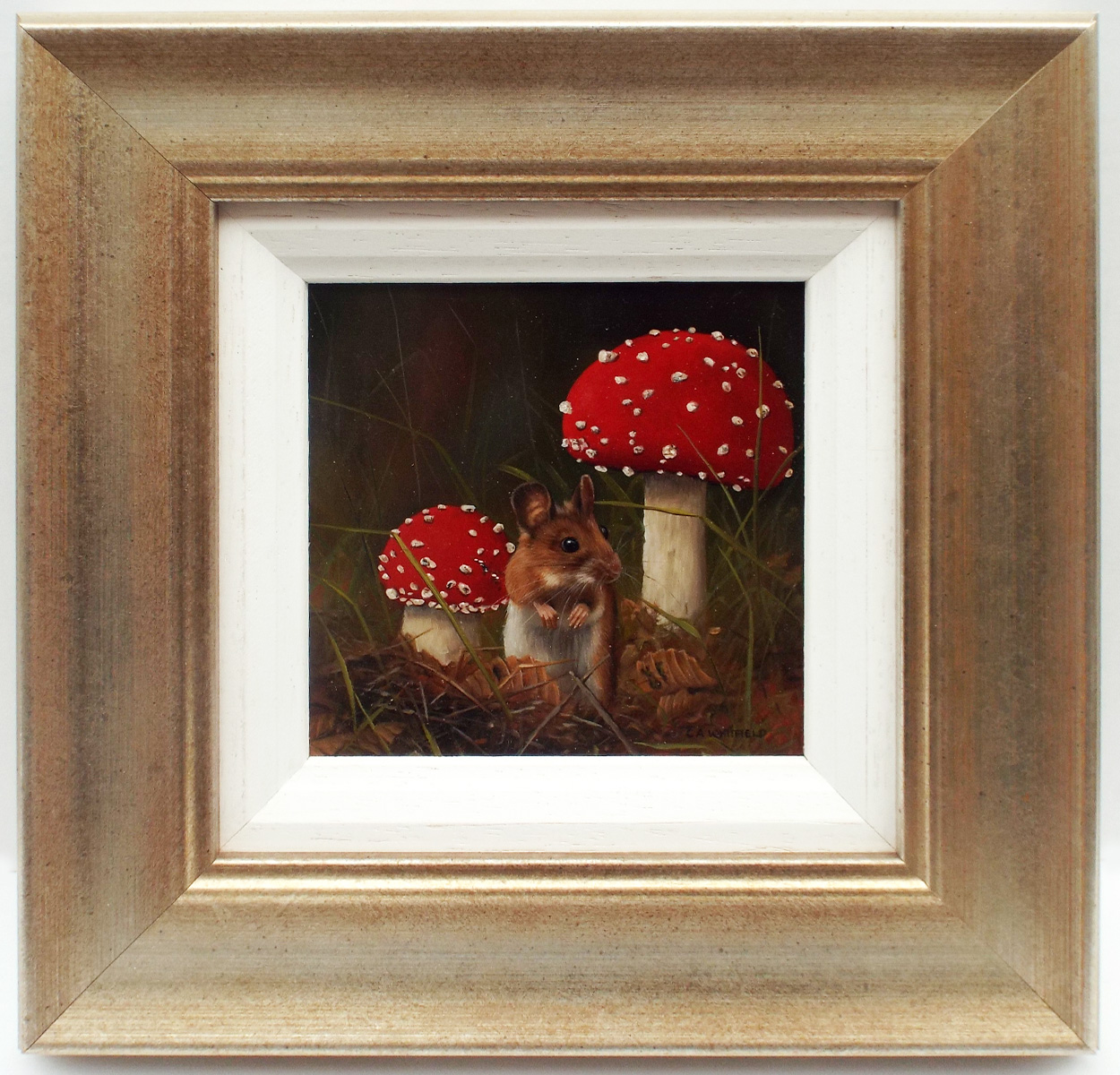 Carl Whitfield Toadstool shelter- Framed