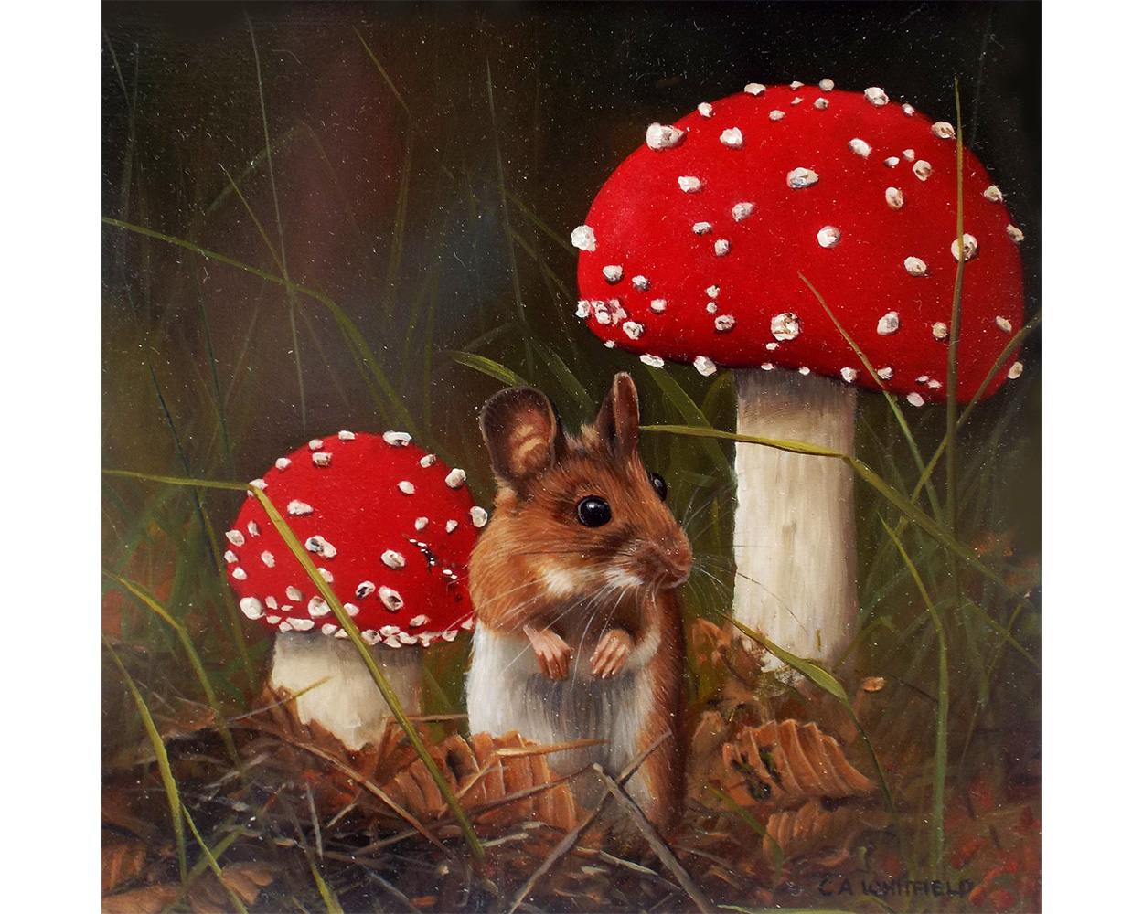 Carl Whitfield Toadstool shelter- Product Imgae - Copy
