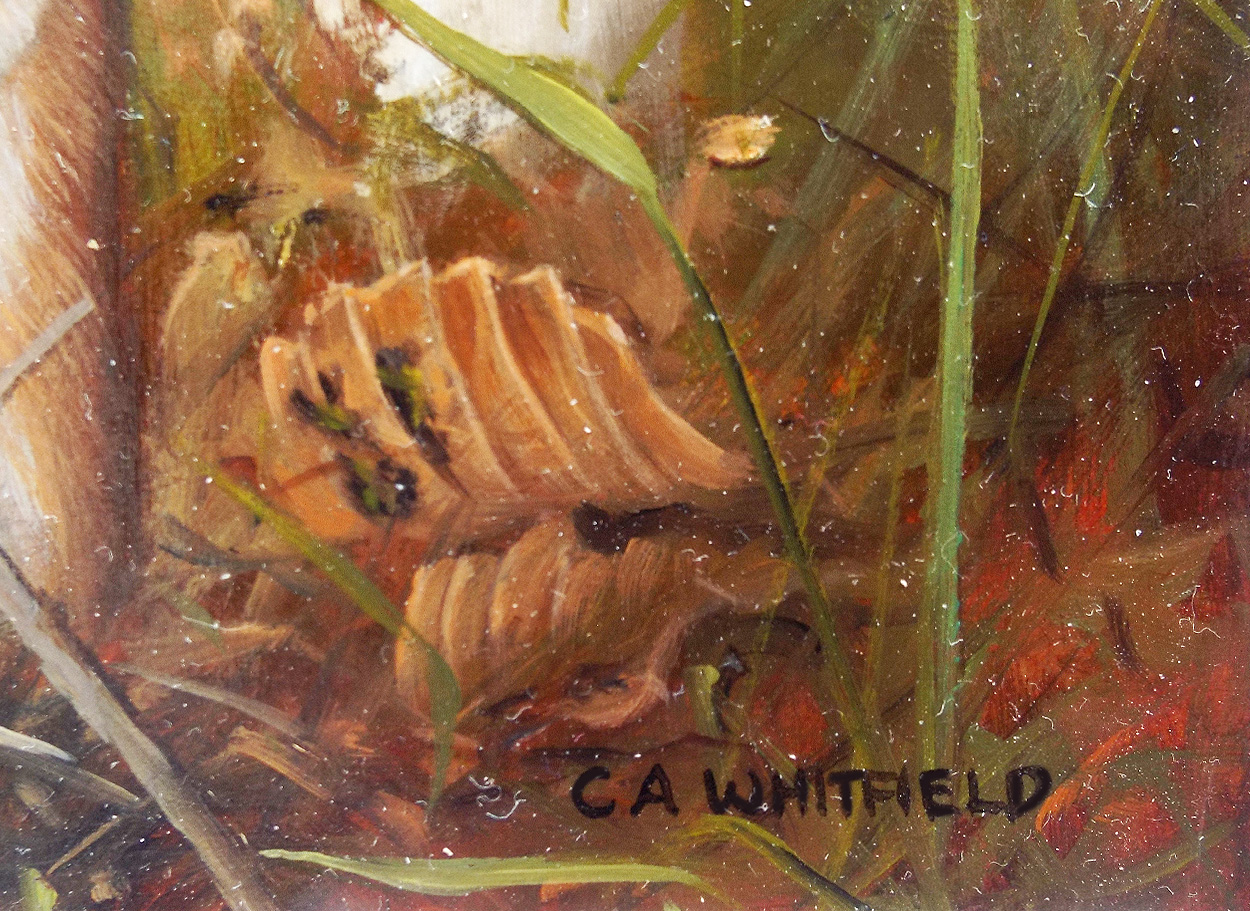 Carl Whitfield Toadstool shelter- Signature