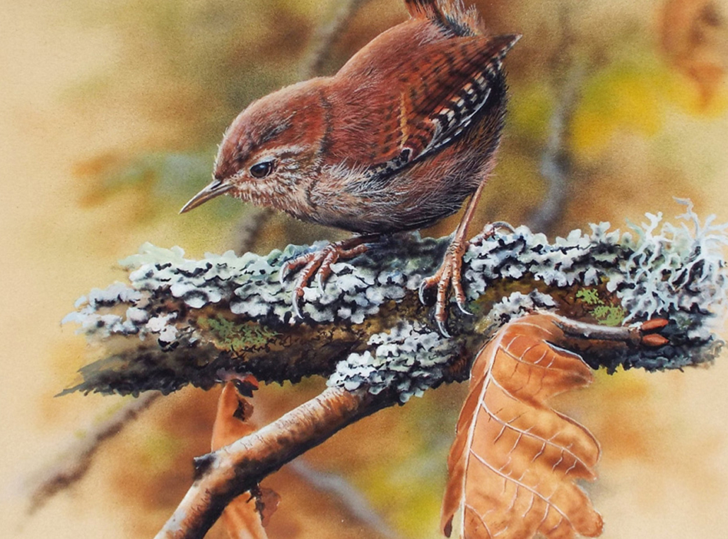 Size guide for A-Z pages- nigel artingstall