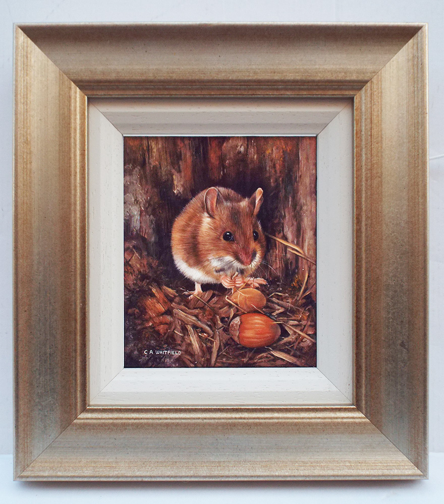 Carl Whitfield, A Field Mouse Feeding- Frame Detail