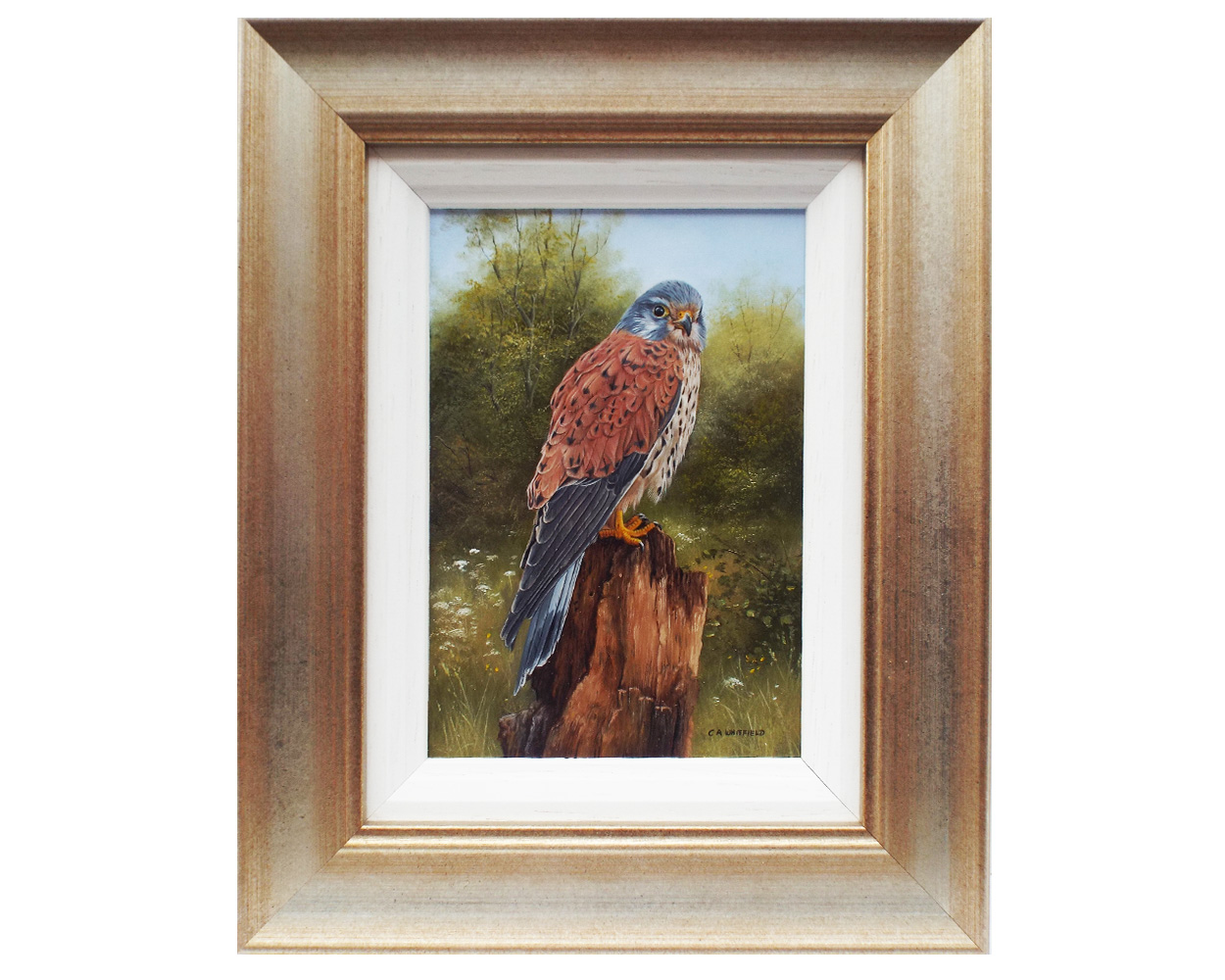 Carl Whitfield, Kestrel on a Post - Framed