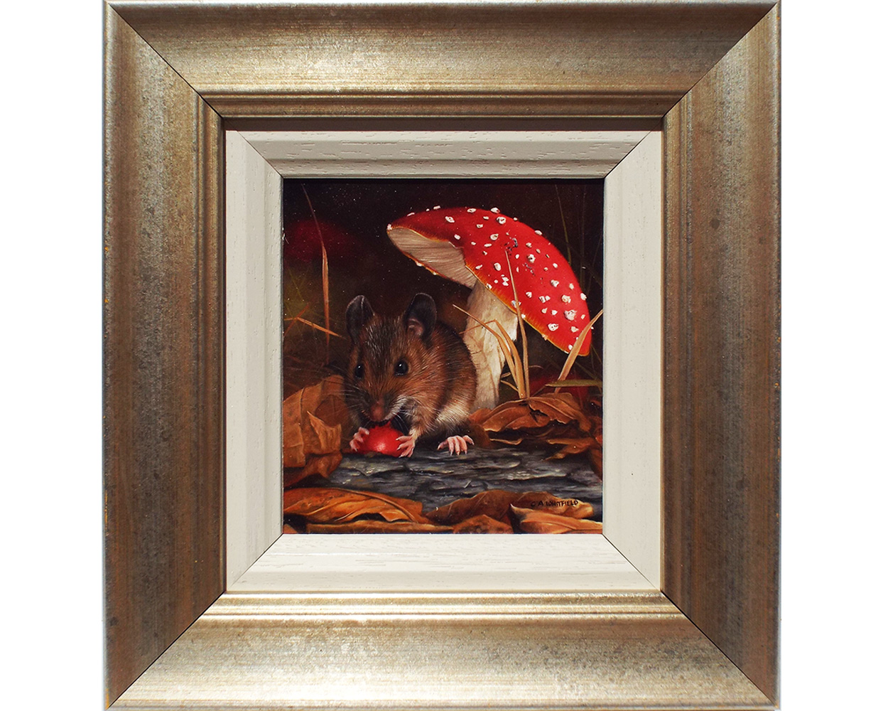 Carl Whitfield, Harvest Mouse feeding near Toadstool - Framed