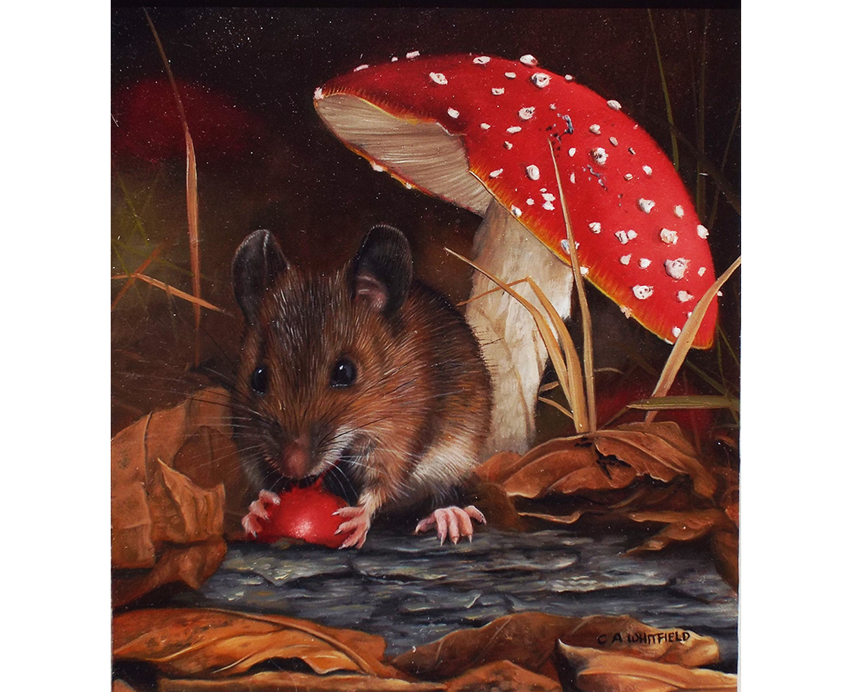Carl Whitfield, Harvest Mouse feeding near Toadstool - Product Image