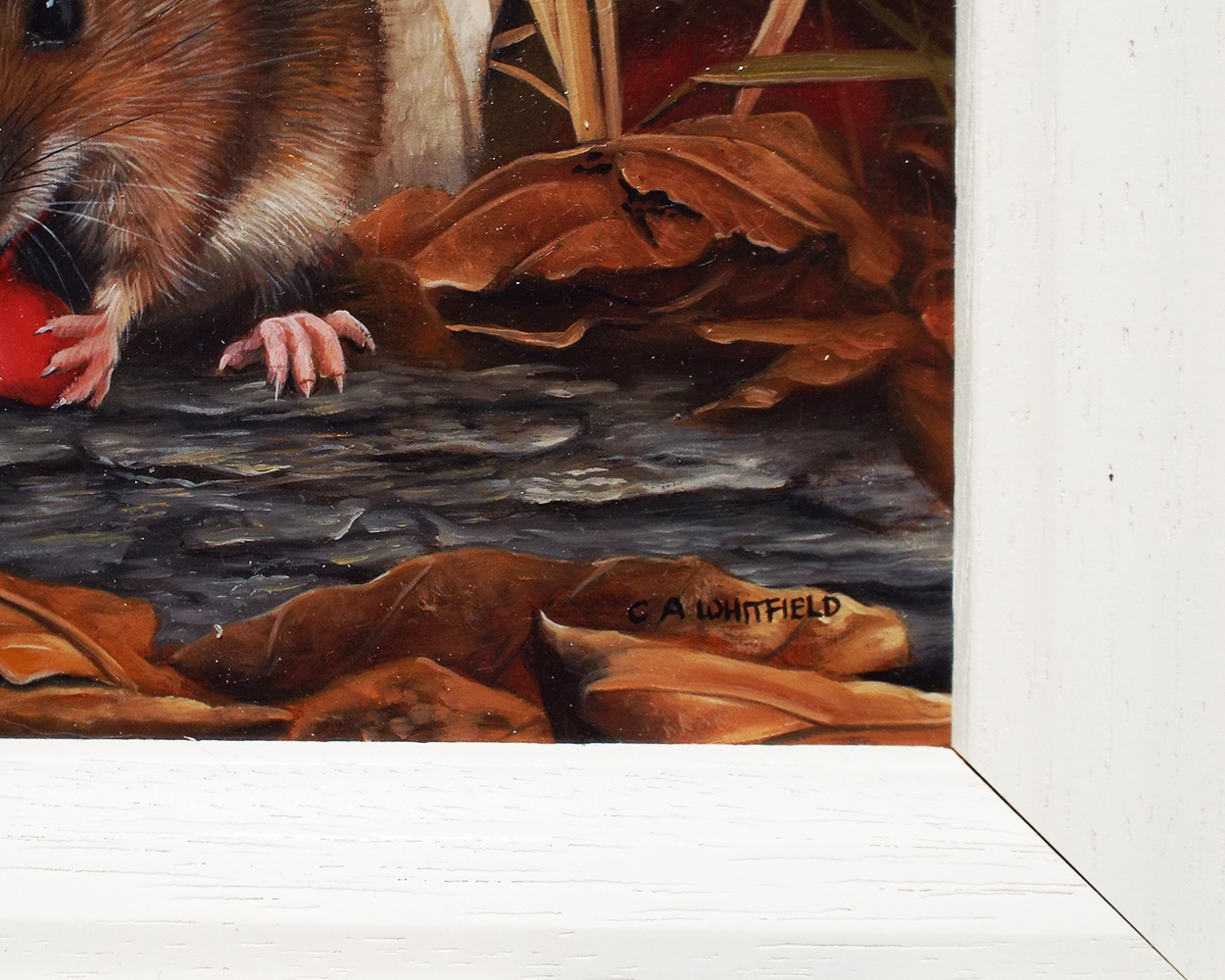 Carl Whitfield, Harvest Mouse feeding near Toadstool - Signiture