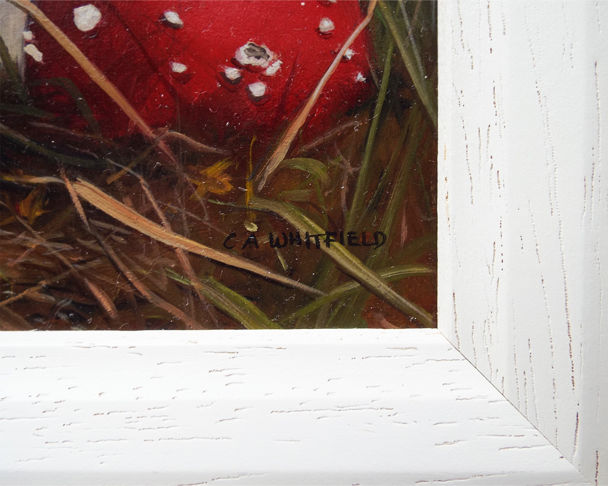 Carl Whitfield, Harvest Mouse feeding near Toadstools- Signiture