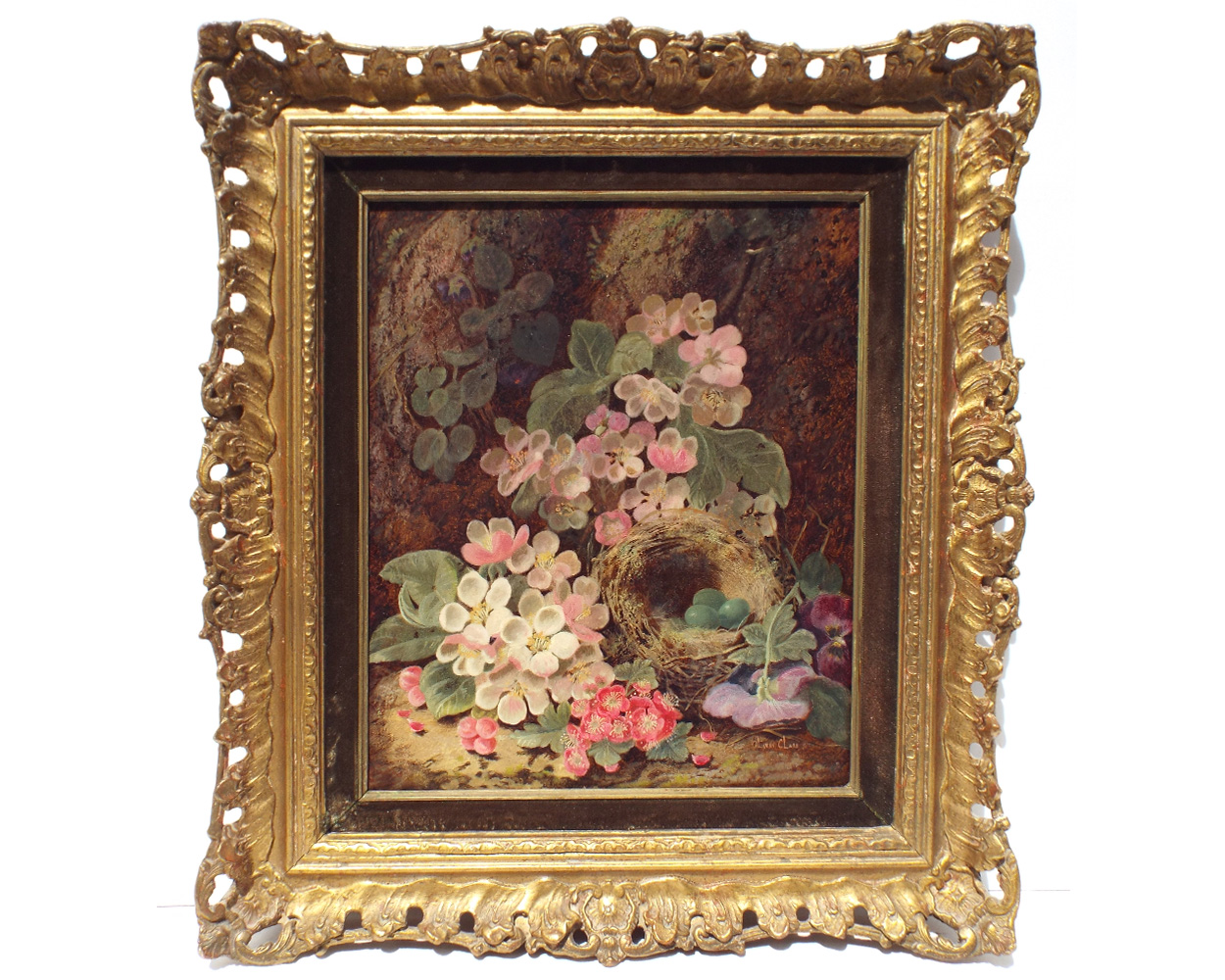Oliver Clare, Apple Blossoms amongst Bird Nest - Frame