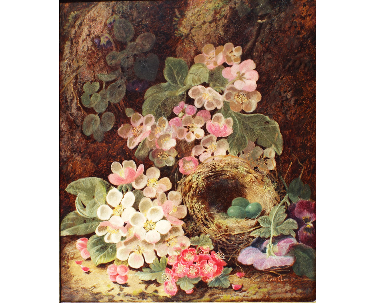 Oliver Clare, Apple Blossoms amongst Bird Nest - Product Image