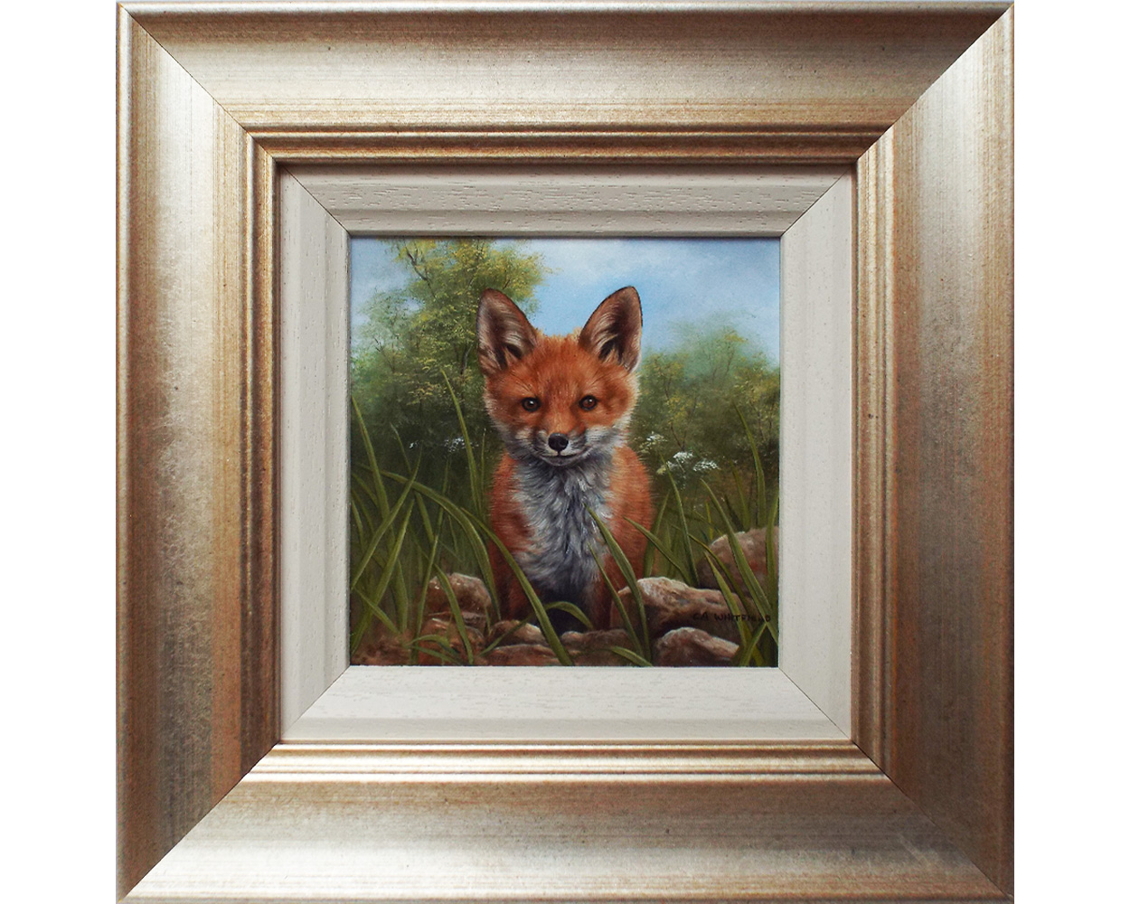 Carl Whitfield, Fox Kit sitting in a Meadow - Framed