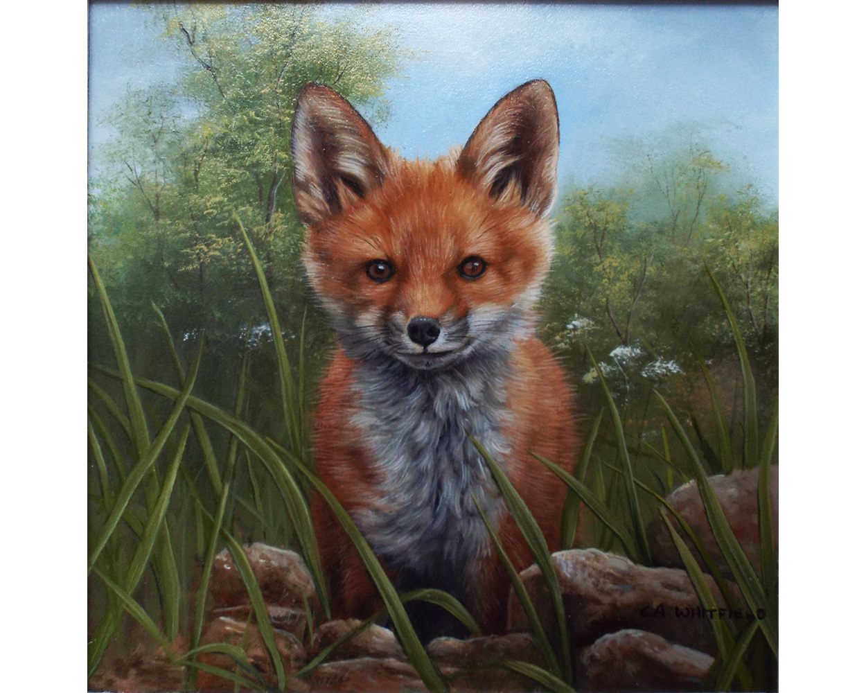 Carl Whitfield, Fox Kit sitting in a Meadow - Product Imaeg