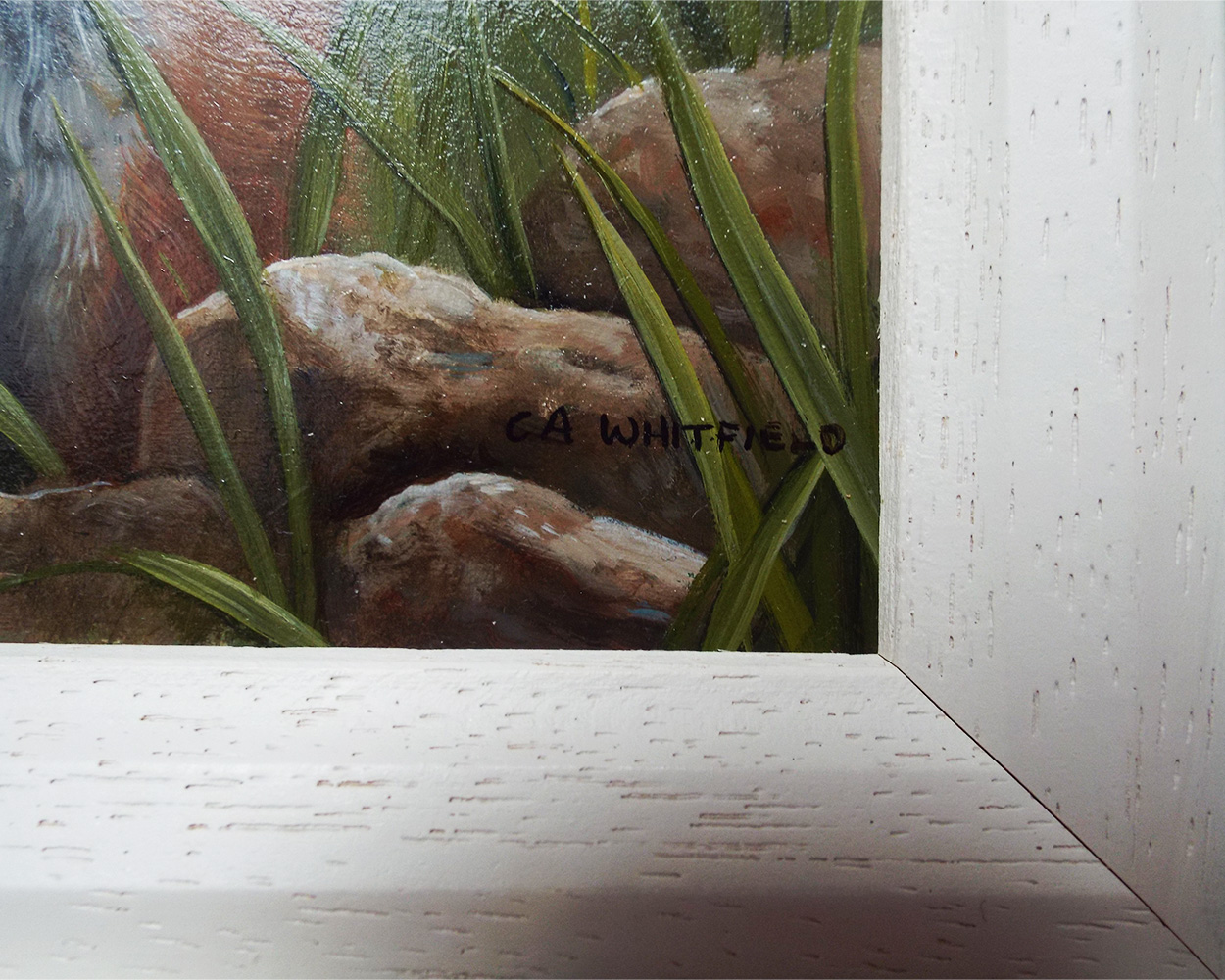 Carl Whitfield, Fox Kit sitting in a Meadow - Signiture